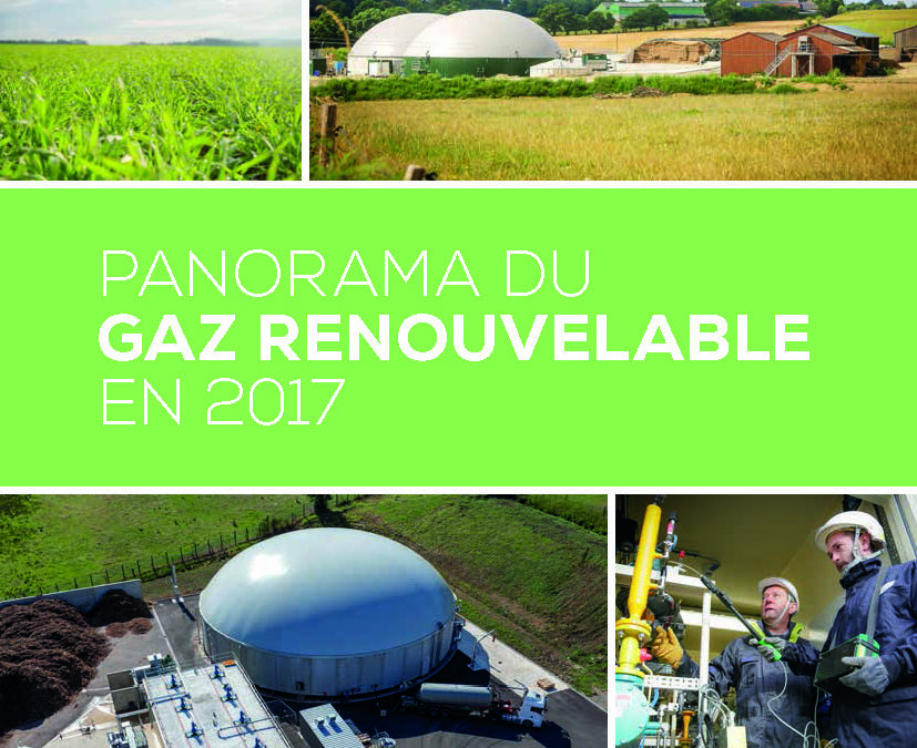 Panorama du gaz renouvelable, par le SER et ses partenaires